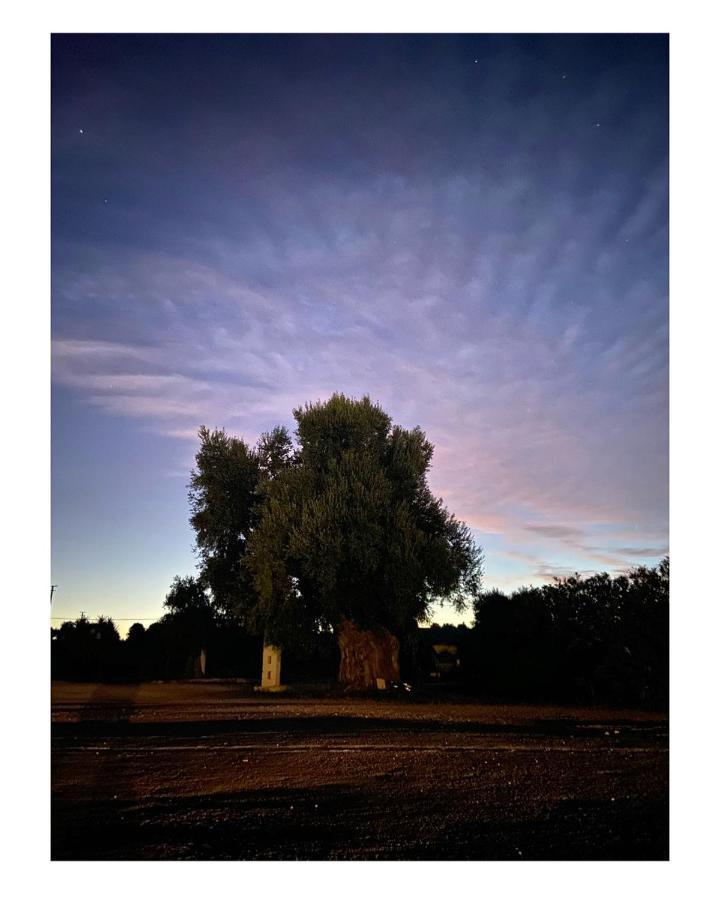 Masseria Conca D'Oro Ostuni Kültér fotó