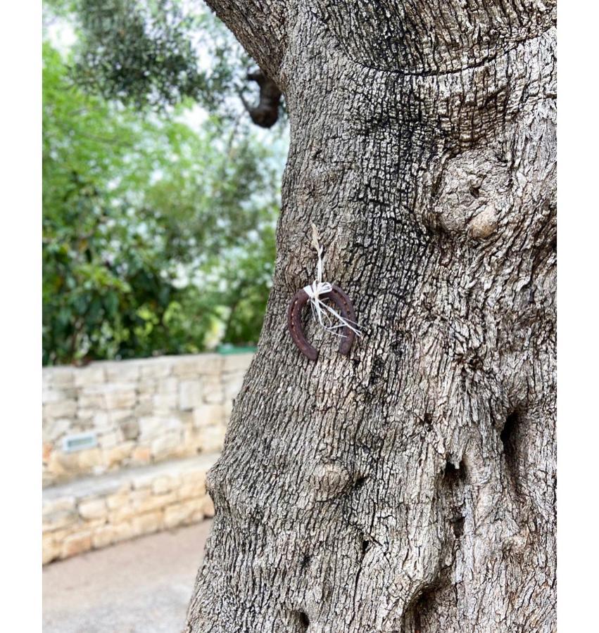 Masseria Conca D'Oro Ostuni Kültér fotó