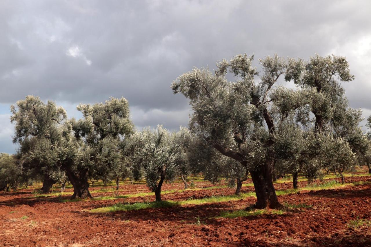 Masseria Conca D'Oro Ostuni Kültér fotó