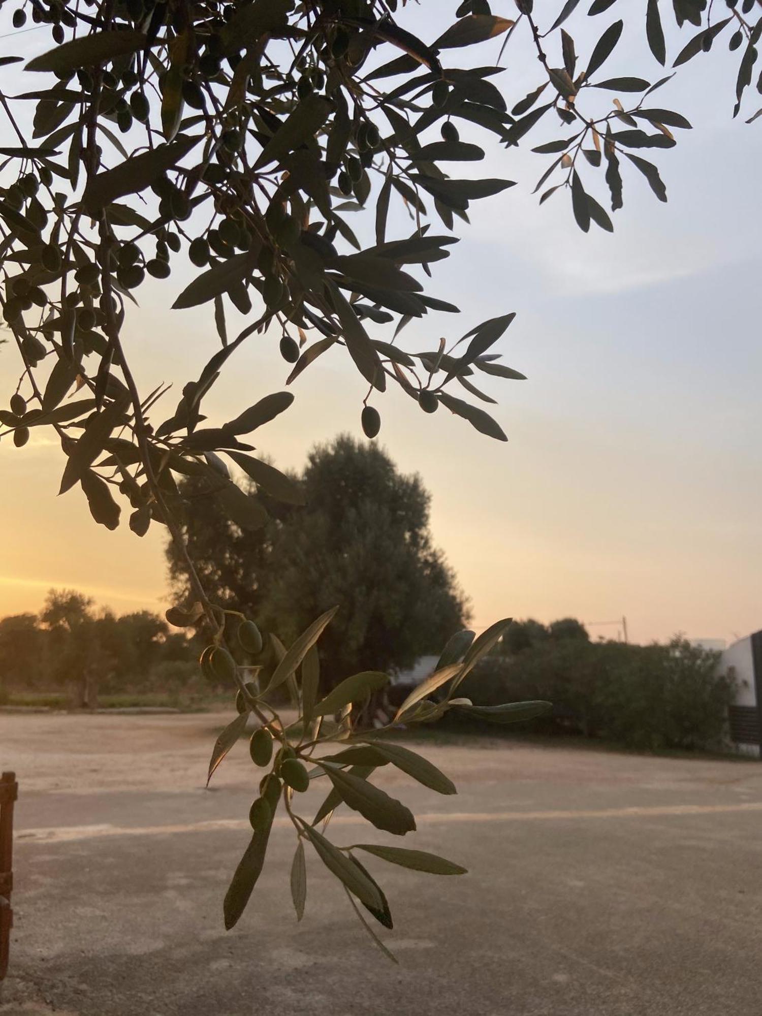 Masseria Conca D'Oro Ostuni Kültér fotó