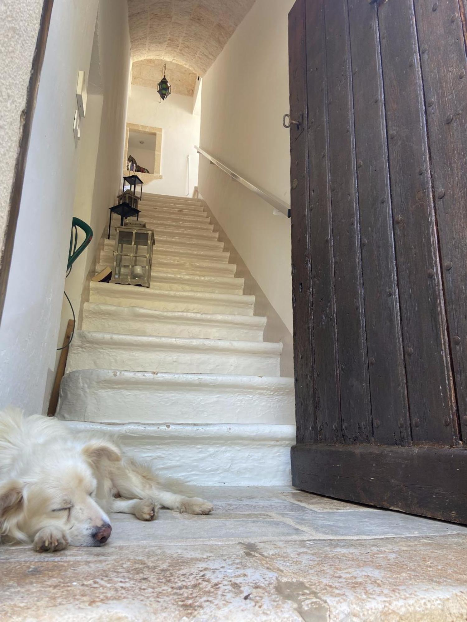 Masseria Conca D'Oro Ostuni Kültér fotó